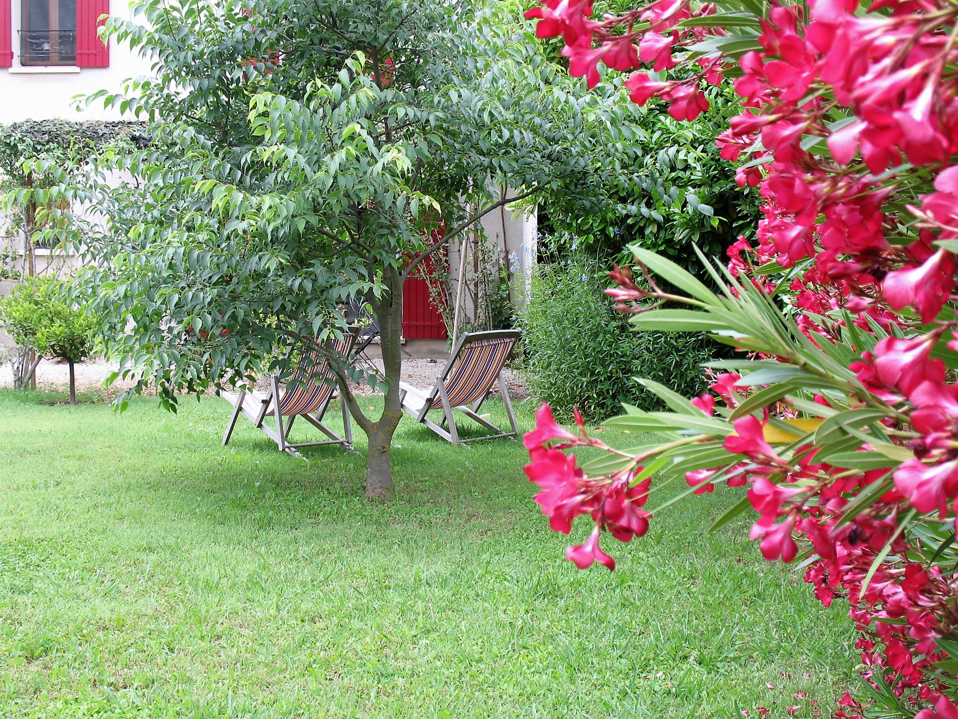 Les délices d'un pied à terre au soleil - photo 3