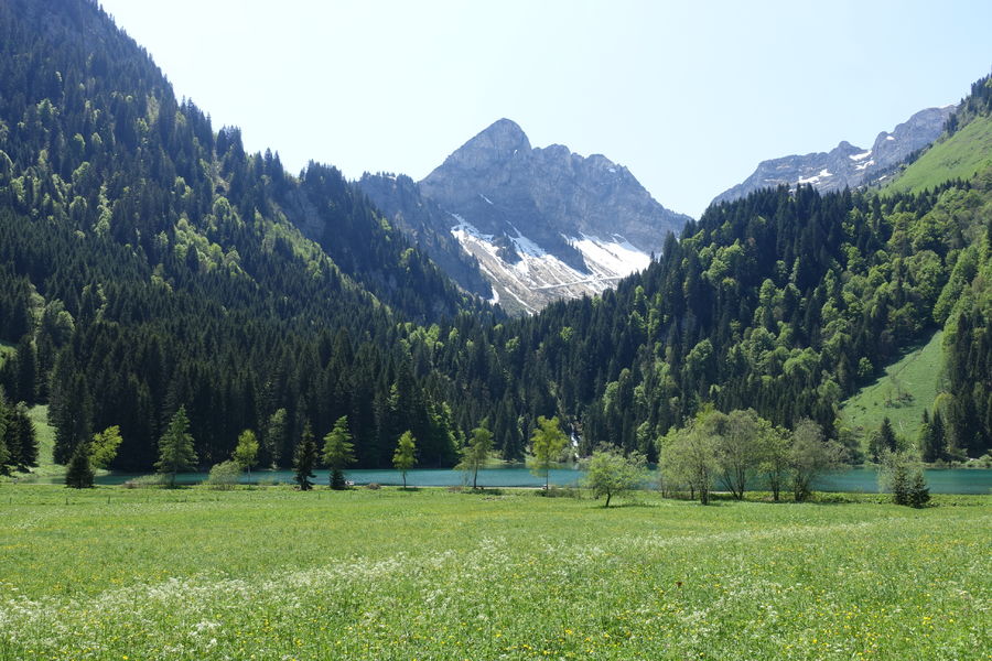 Tour du lac des Plagnes