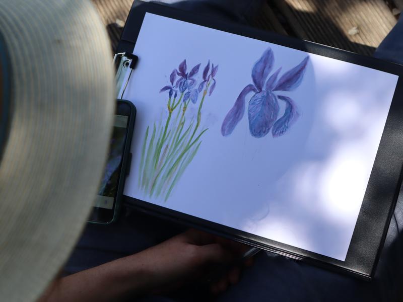 Stage d'aquarelle naturaliste_Villar-d'Arêne