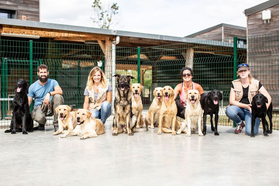 Ecole de chiens guides pour aveugles et malvoyants de Paris 