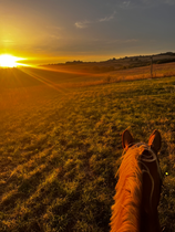 Balade à poney - en main_Chambles
