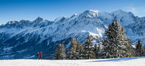 Prarion hiver