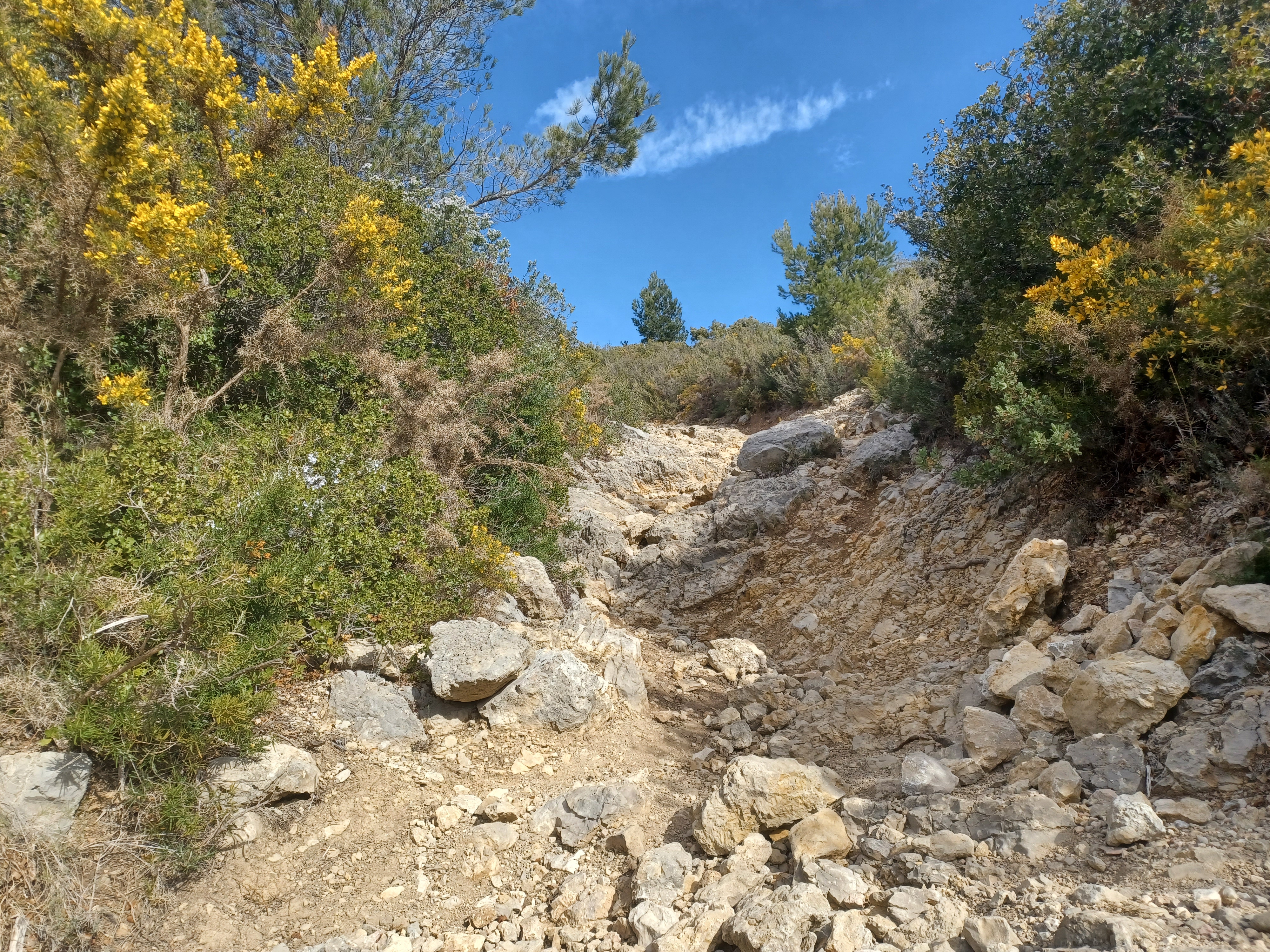 Le balcon des Tourdres et la corniche du grand vallon, Roquevaire - photo 2