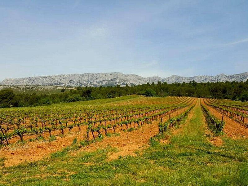 Cave de Rousset - photo 4