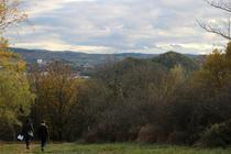 Balade bioacoustique au parc de Montaud_Rochetaillée
