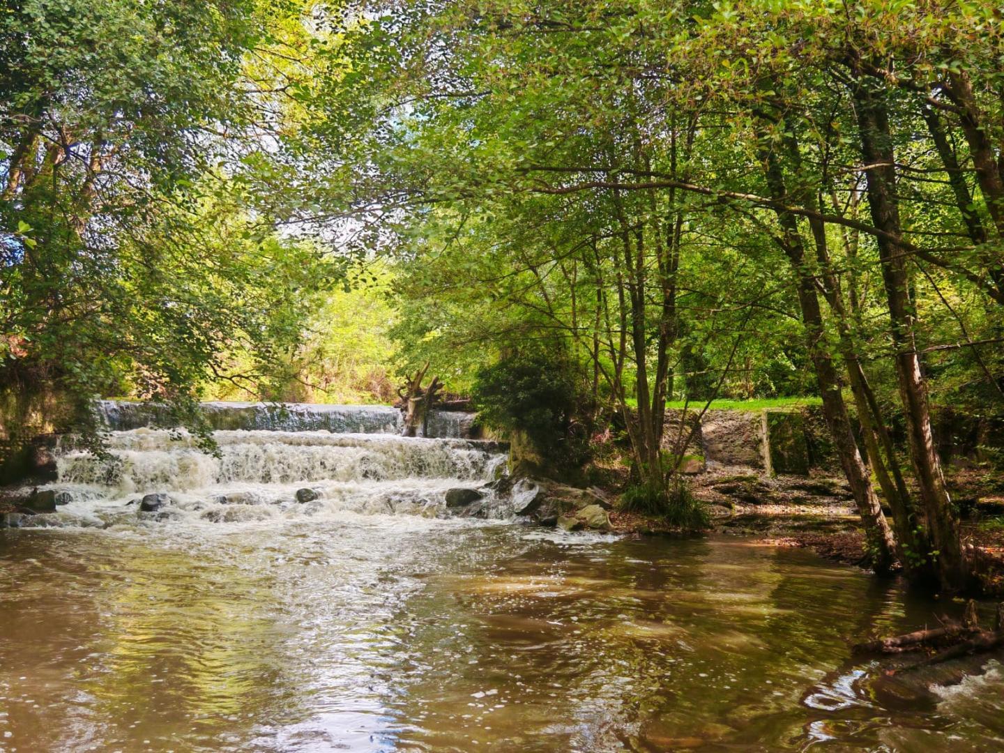 Cascade accessible depuis le gîte par un petit sentier et quelques marches, à 50m