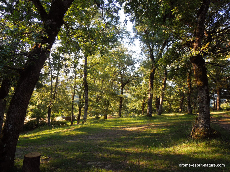 Camping Drôme Esprit Nature