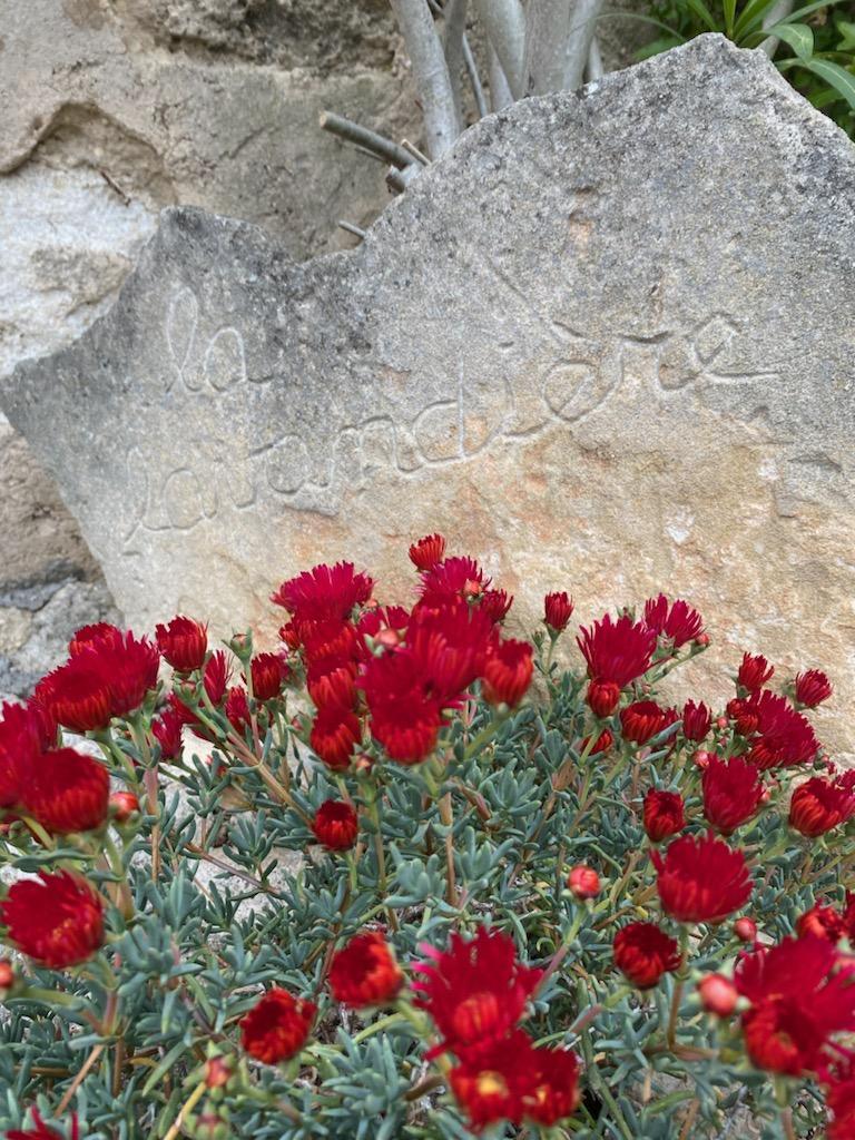 La Lavandière, Aurons - photo 14