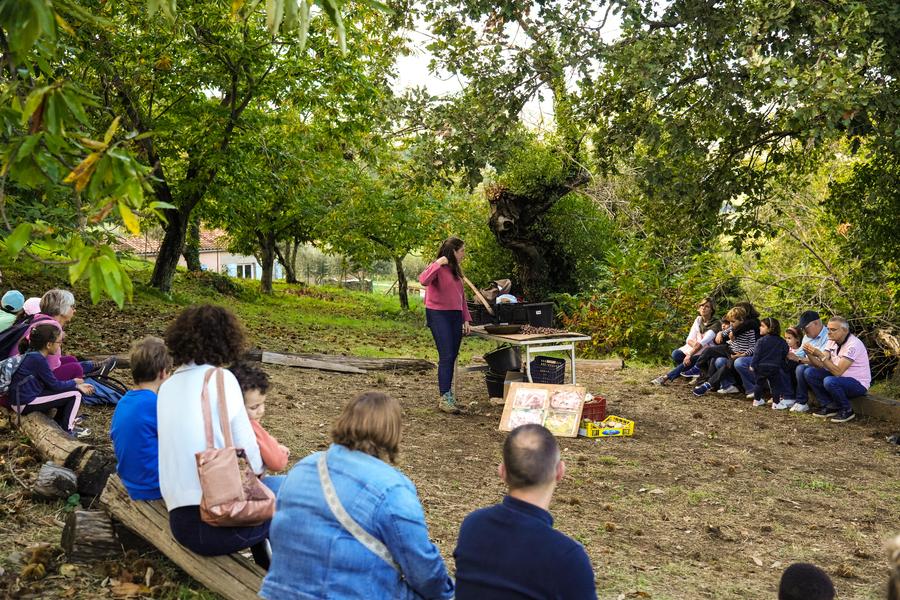 Atelier du petit castanéiculteur à la Châtaigneraie Godissard_Collobrières