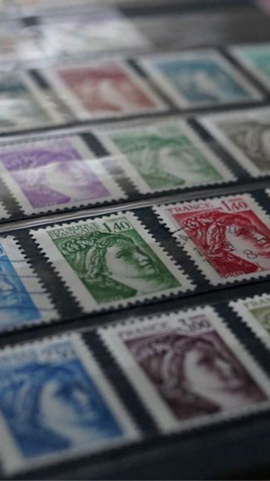 Salon toutes collections