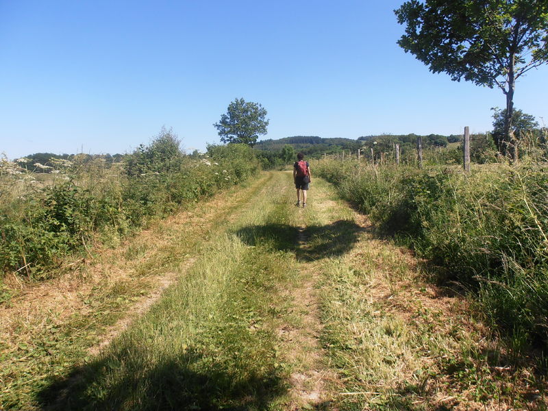 Aux sources de la Morge