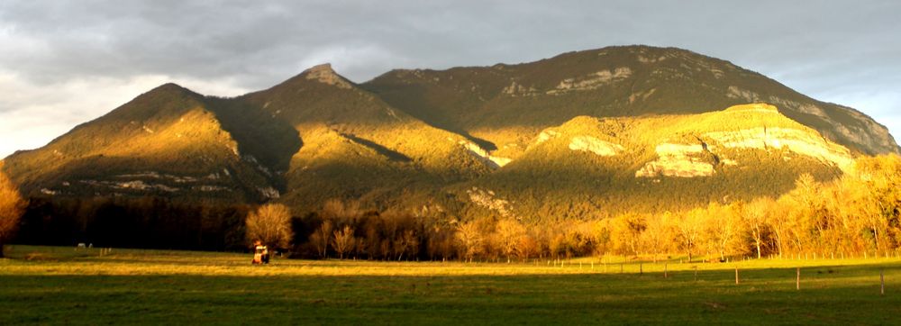 Restaurant La Ferme du marais