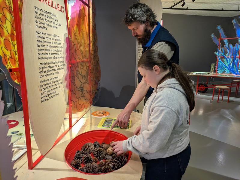 Expo Graines : comment naissent les plantes ? Expo Graines : comment naissent les plantes ?