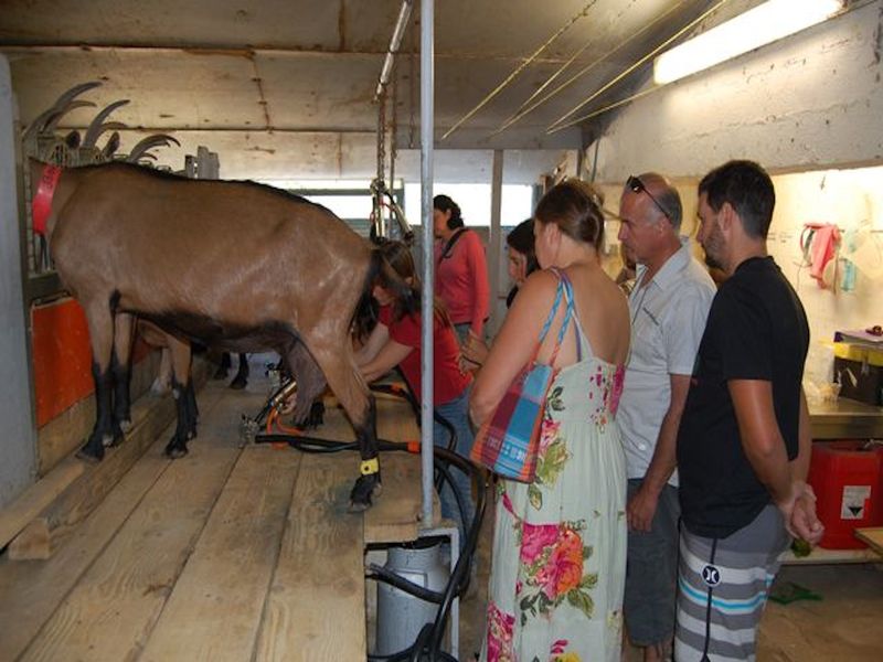 Boutique Grand Réal