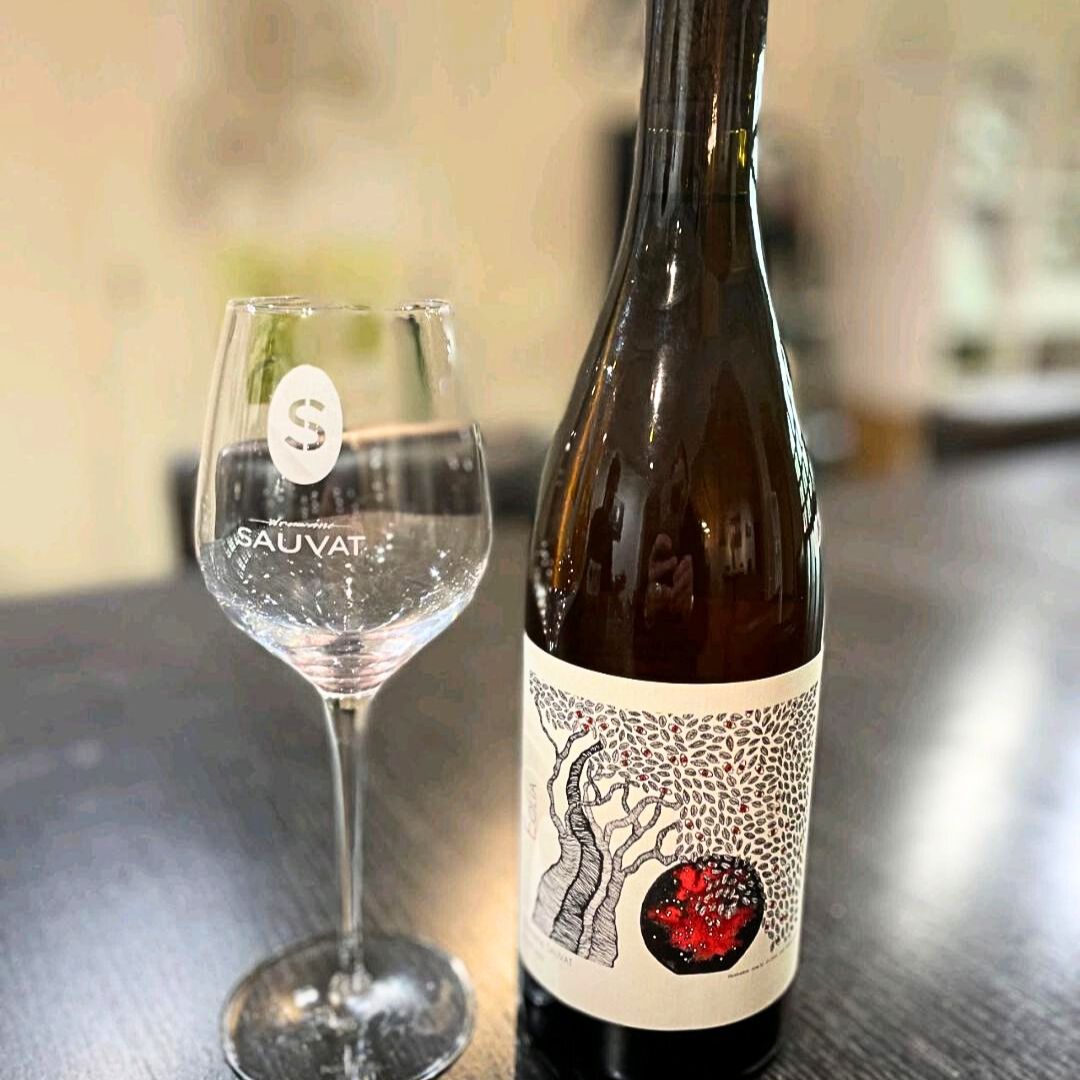 Dégustation de vins au domaine