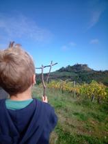 Land art - art sauvage dans la nature du Forez._Roche