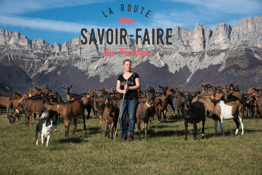 Route des savoir-faire