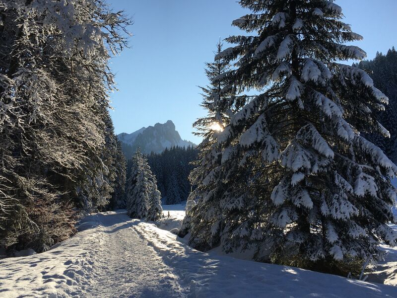 le_plan_des_rasses_bellevaux