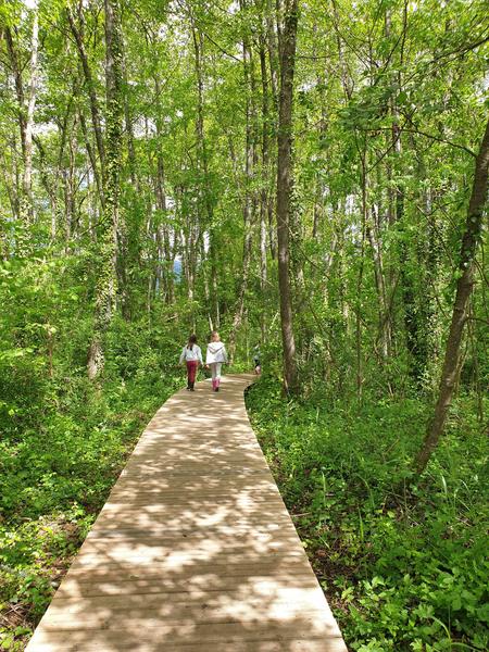 Randonnée pédestre : Marais des Bidonnes et Canal de Crans_Divonne-les-Bains