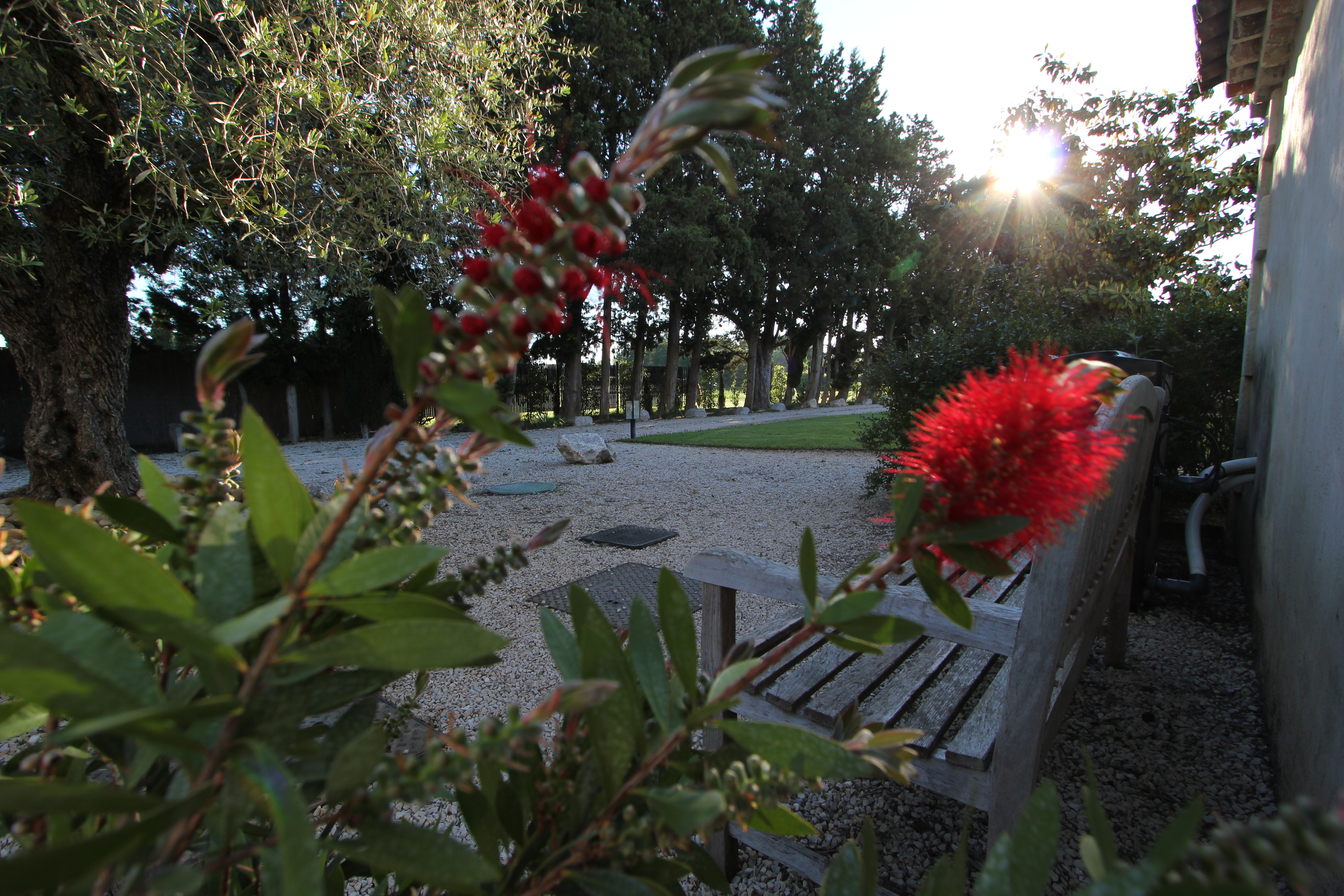 Mas Paloma, Rognonas - photo 15