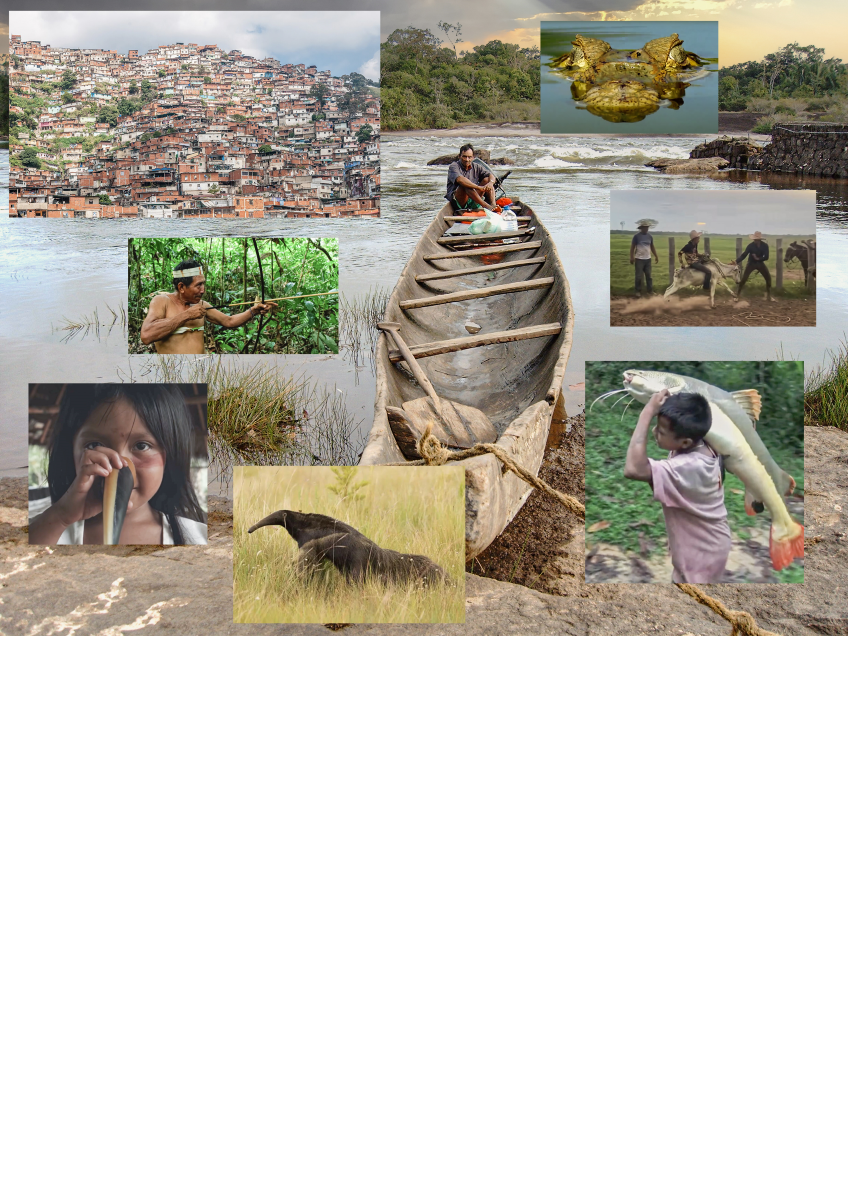 Projection - Venezuela, hors limite