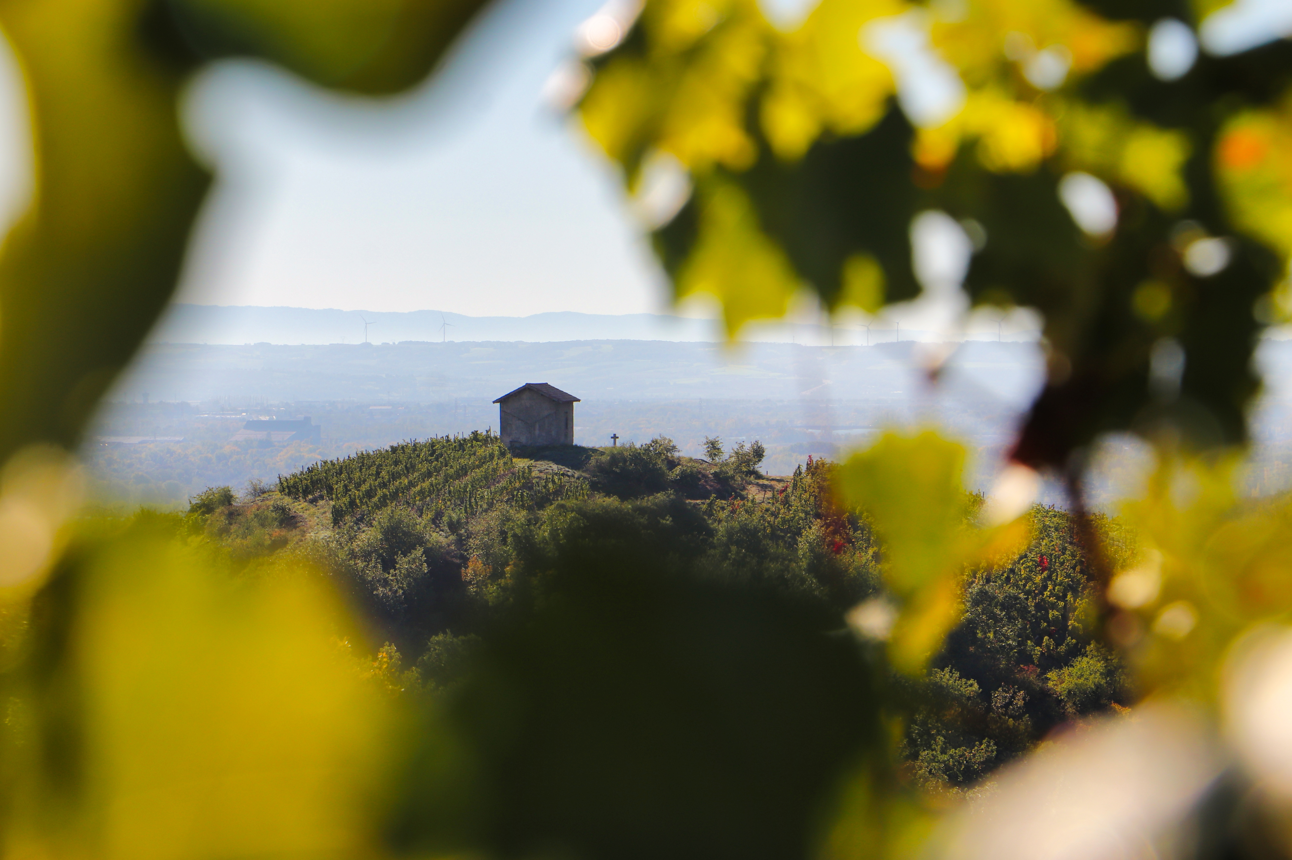 Offre : Echappée gourmande dans les vignes du Fascinant Week-End