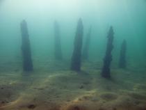 Conférence "Archéologie subaquatique des lacs alpins : les palafittes néolithiq…