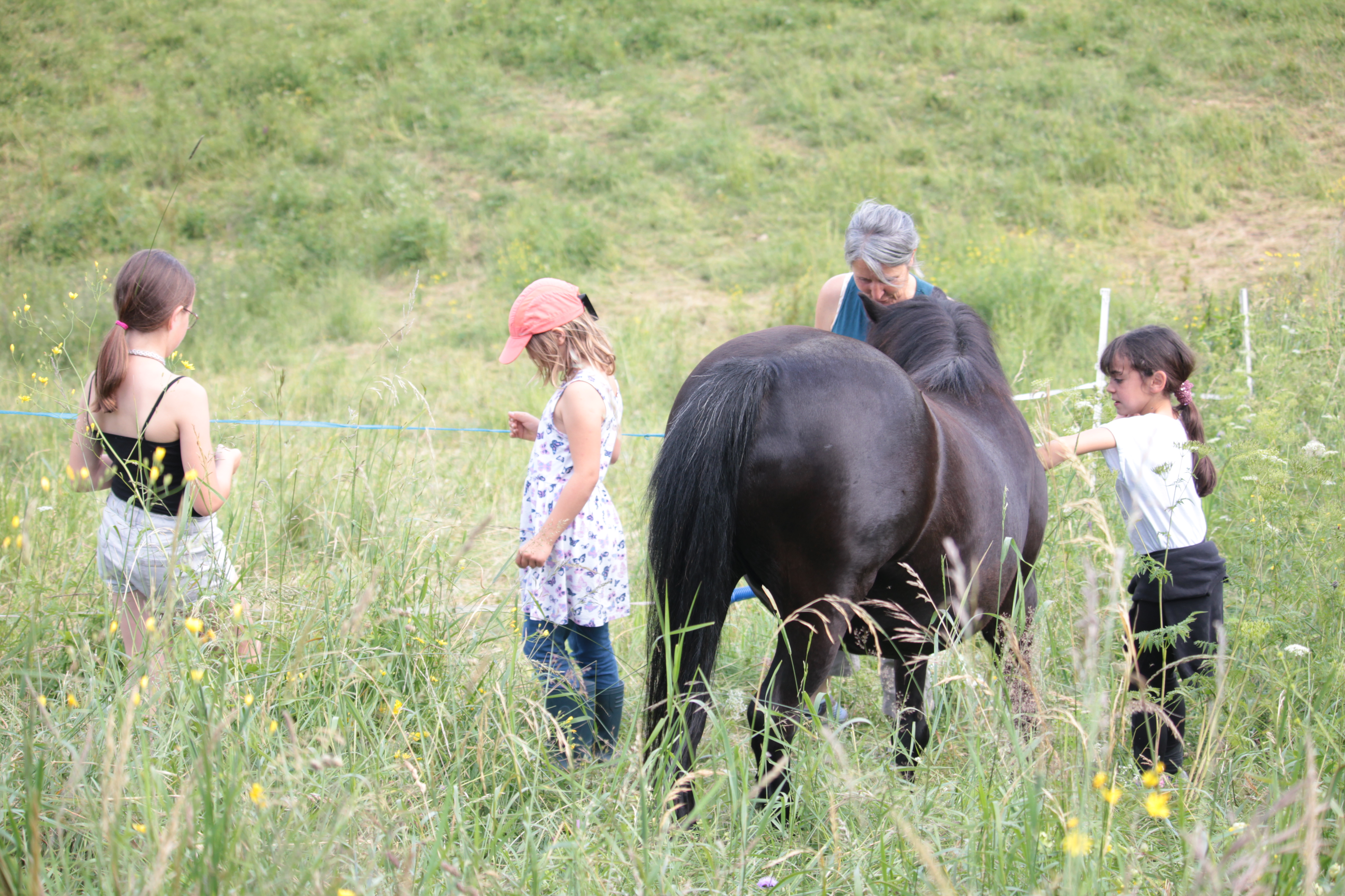 Ateliers "Découvrir le cheval autrement"
