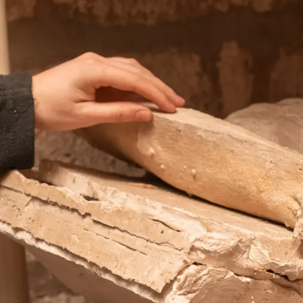 Photo de collections archéologiques 