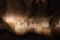92 animaux en mouvement sont représentés dans le panneau des lions, salle du fond © Patrick Aventurier - Grotte Chauvet 2 Ardèche (1)
