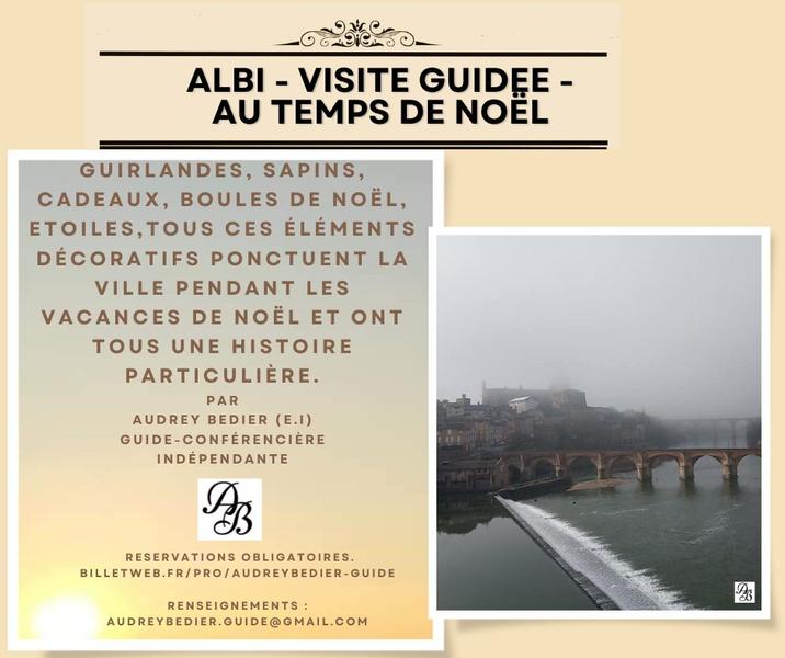 Visite guidée: Albi au temps de Noël