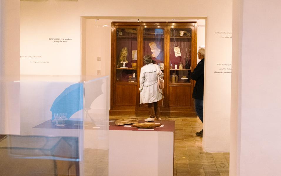 Visite guidée de l'exposition