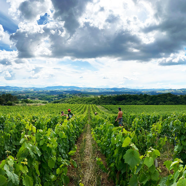 Panorama vu du domaine