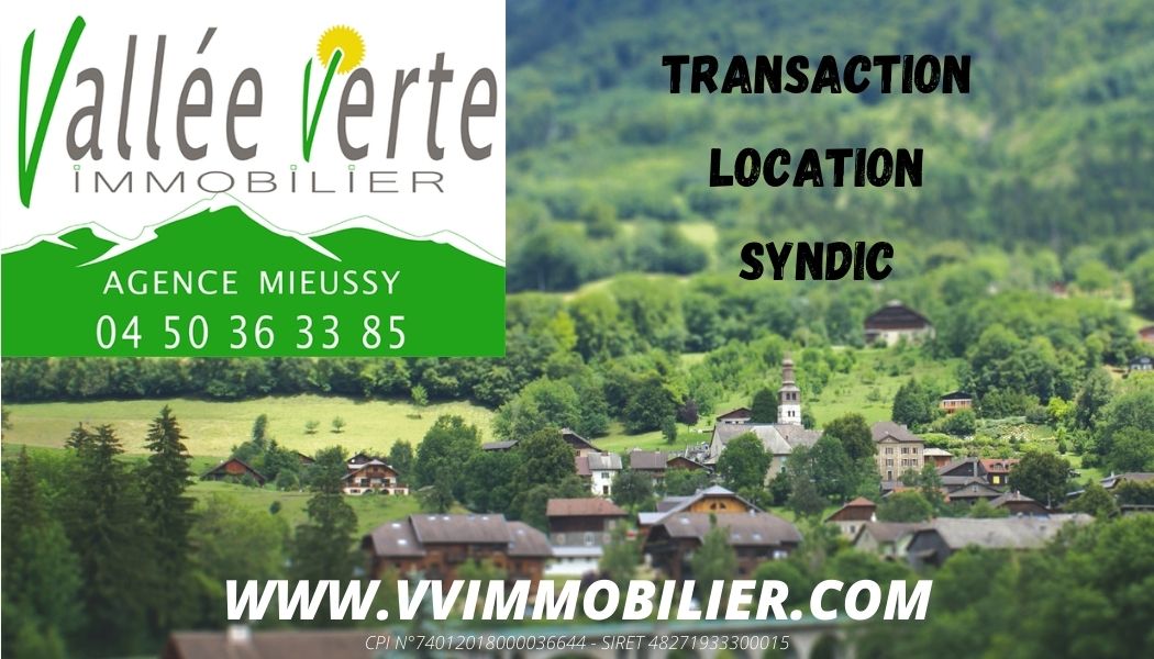 VV Immobilier Estate Agency
