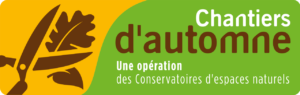 Mobilisation contre les plantes exotiques envahissantes _Ramatuelle